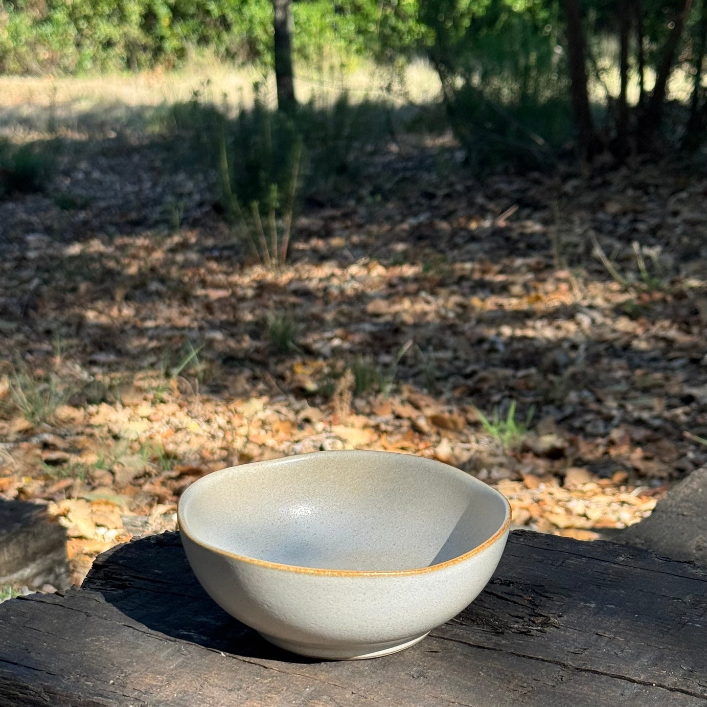 Taça de Sobremesa Cozy
